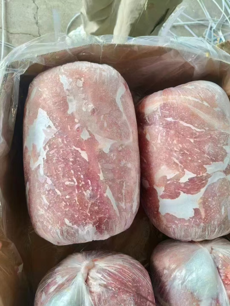 肥猪四号肉日期