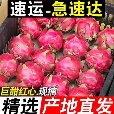 一件代发～火龙果～拼多多～抖音～快手～对接各大电商平台