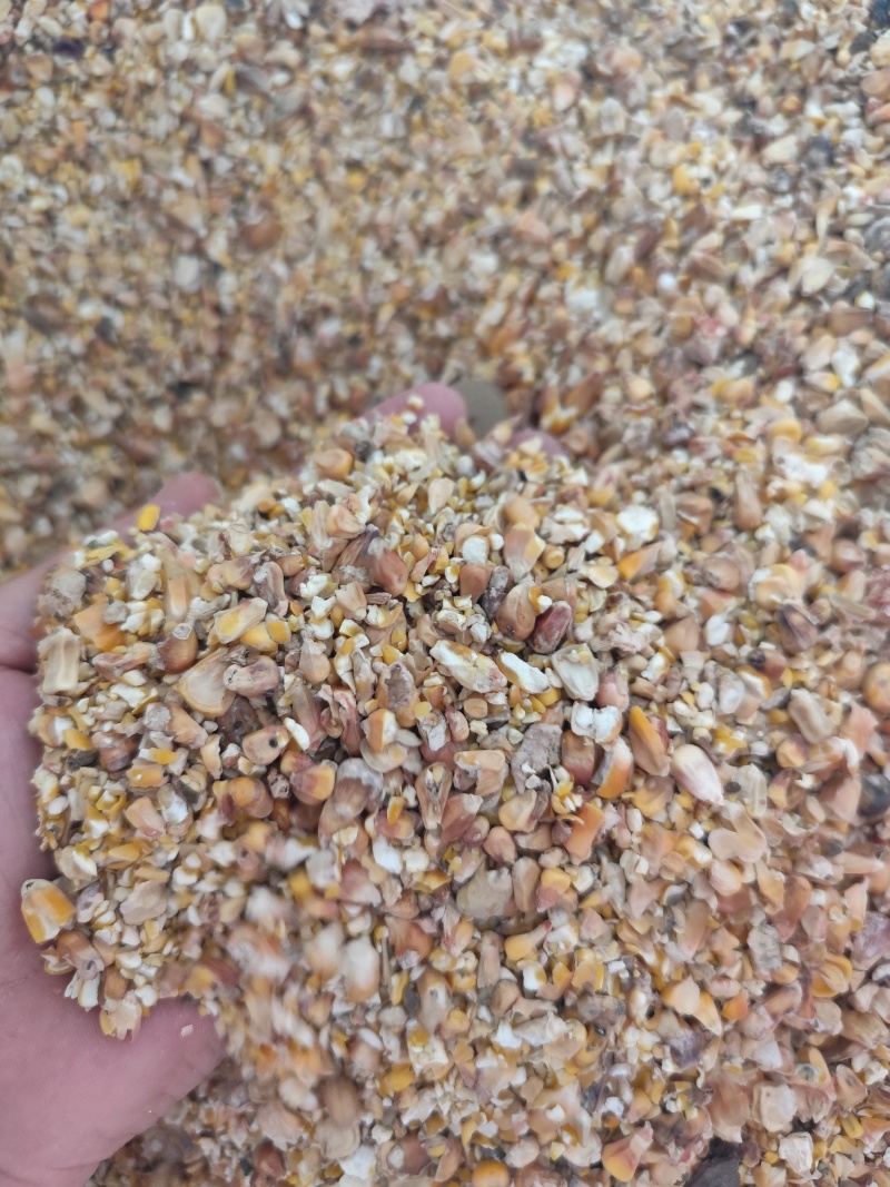 玉米筛漏