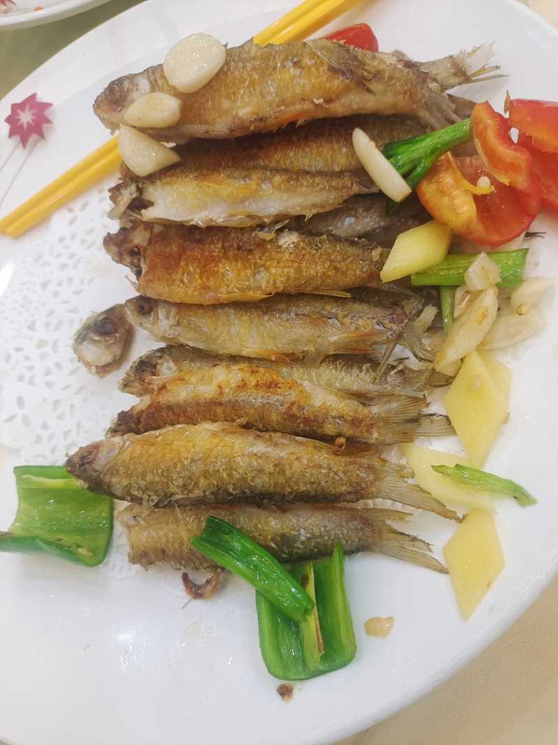 皇帝鱼