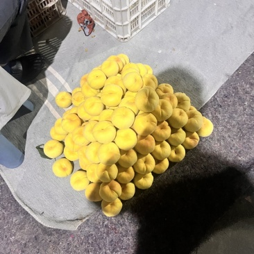 正宗蒙阴蜜桃