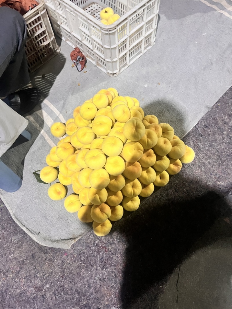 正宗蒙阴蜜桃