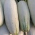内黄果蔬城西瓜甜瓜桃子蔬菜