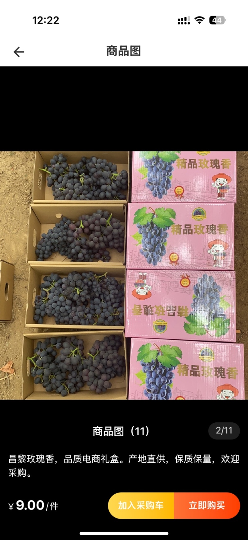 玫瑰香葡萄