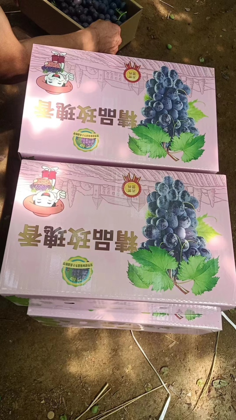 玫瑰香葡萄