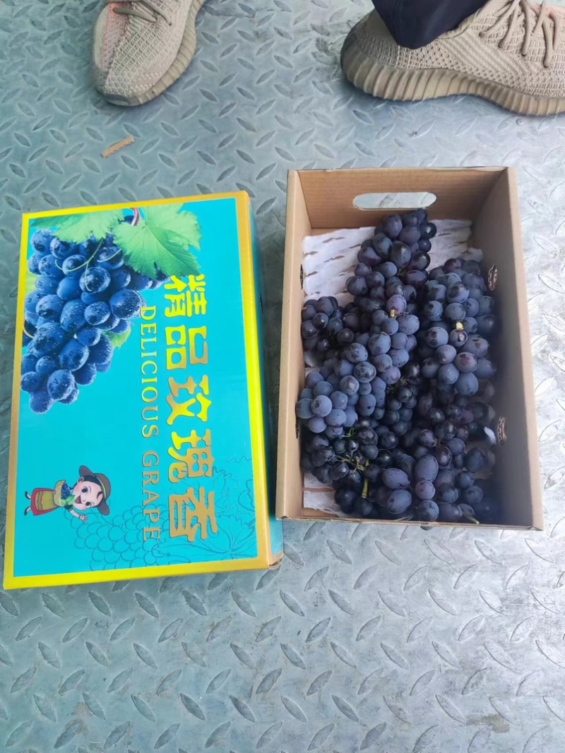 玫瑰香葡萄