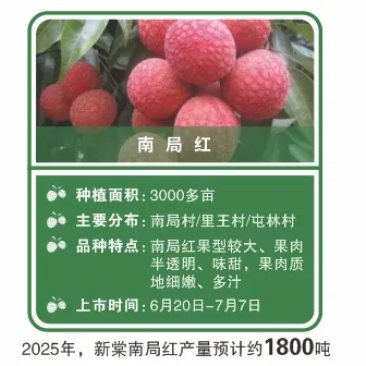 钦州市钦北区新棠镇荔枝南局红.......