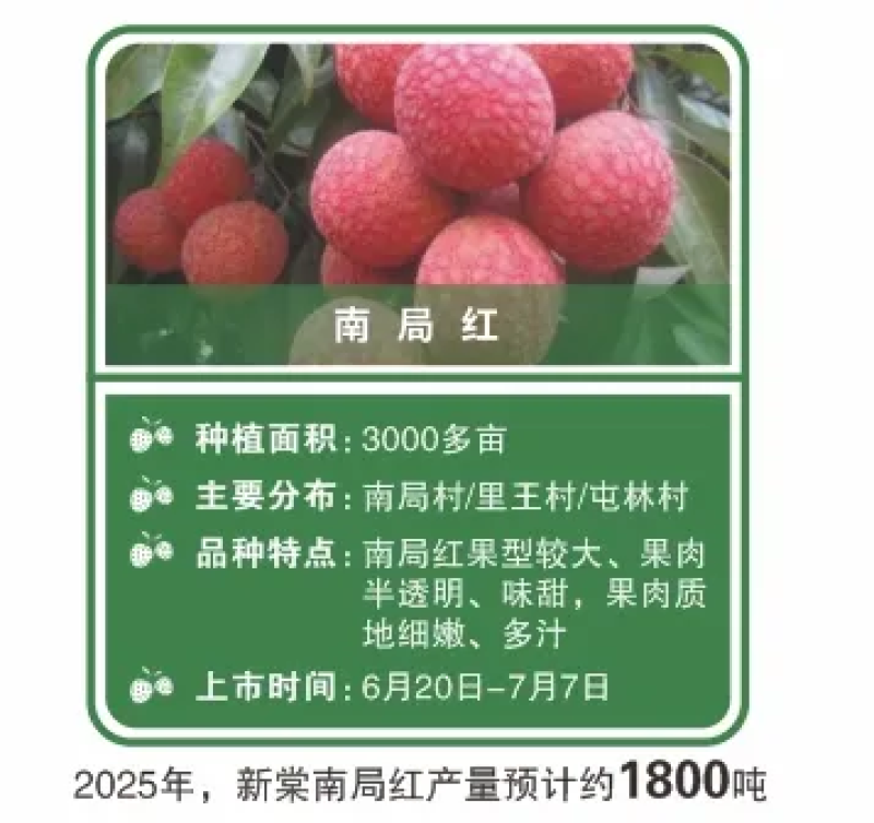 钦州市钦北区新棠镇荔枝南局红.......
