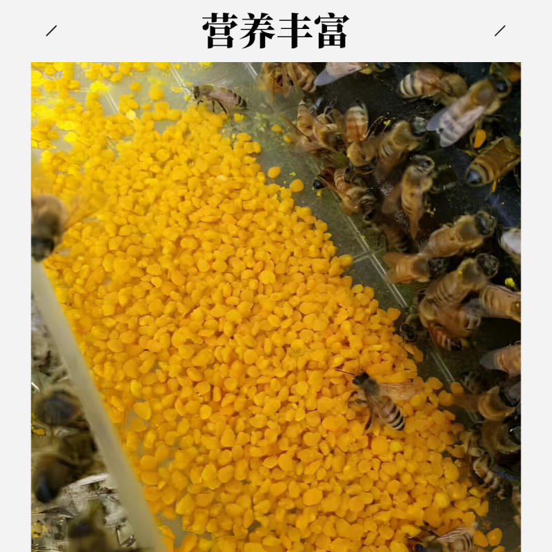 荷花粉天然营养纯正蜂花粉大颗粒精品纯粉