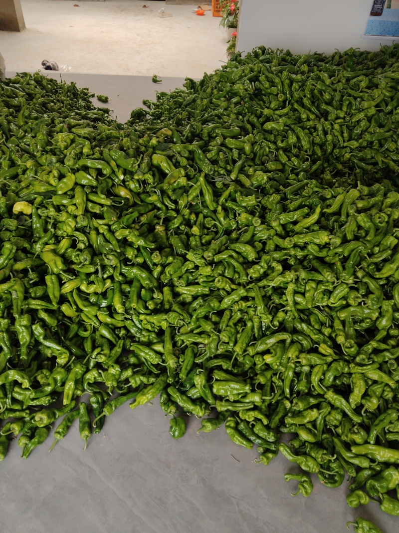 鲜辣椒