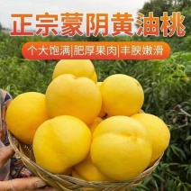 【实力】正宗