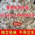 5克卤肉料炖肉料包炖肉料炖牛羊料炖肉炖鸡通用炖肉料卤肉料