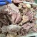 【热卖】全熟牛肉筋牛杂汤店必不可少的牛肉筋