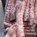 多肉平骨29吨新开检疫