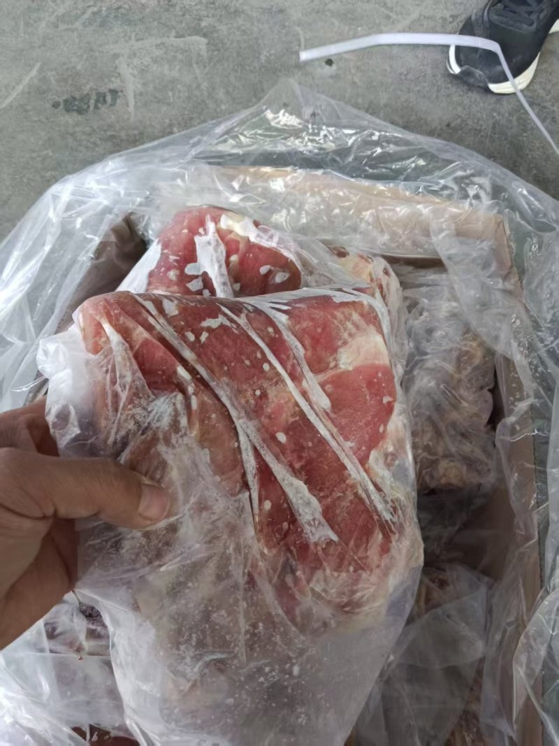 金龙去颈前排