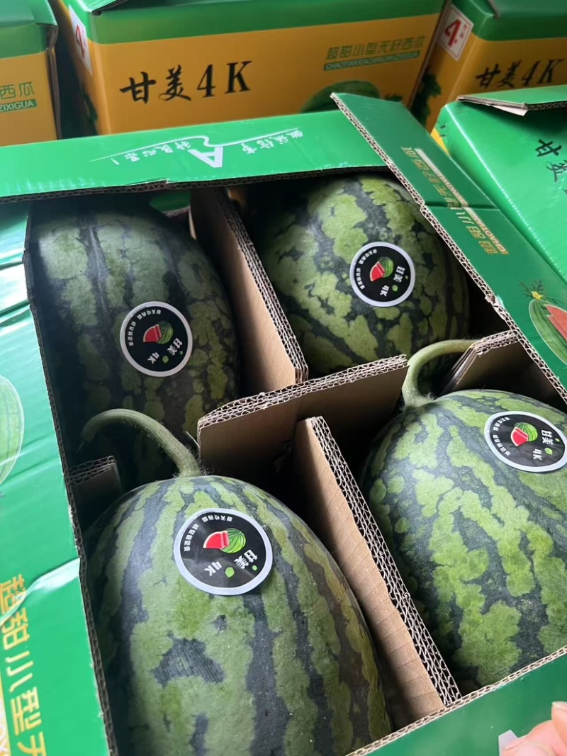湖北精品甘美4k西瓜大量上市产地代办代发诚信经营