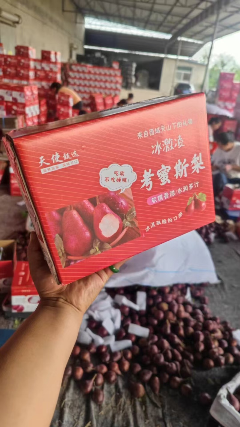 三门峡红啤梨，红烤密斯梨，产地货源，可礼盒订购，诚信经营