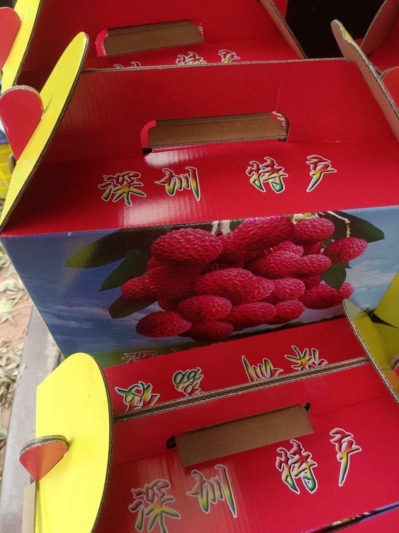 桂味荔枝，礼盒包装！当天采摘当天发货