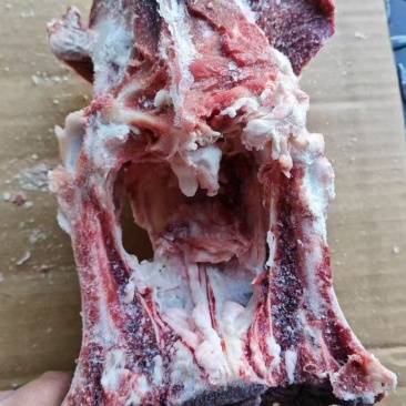 羊胯骨