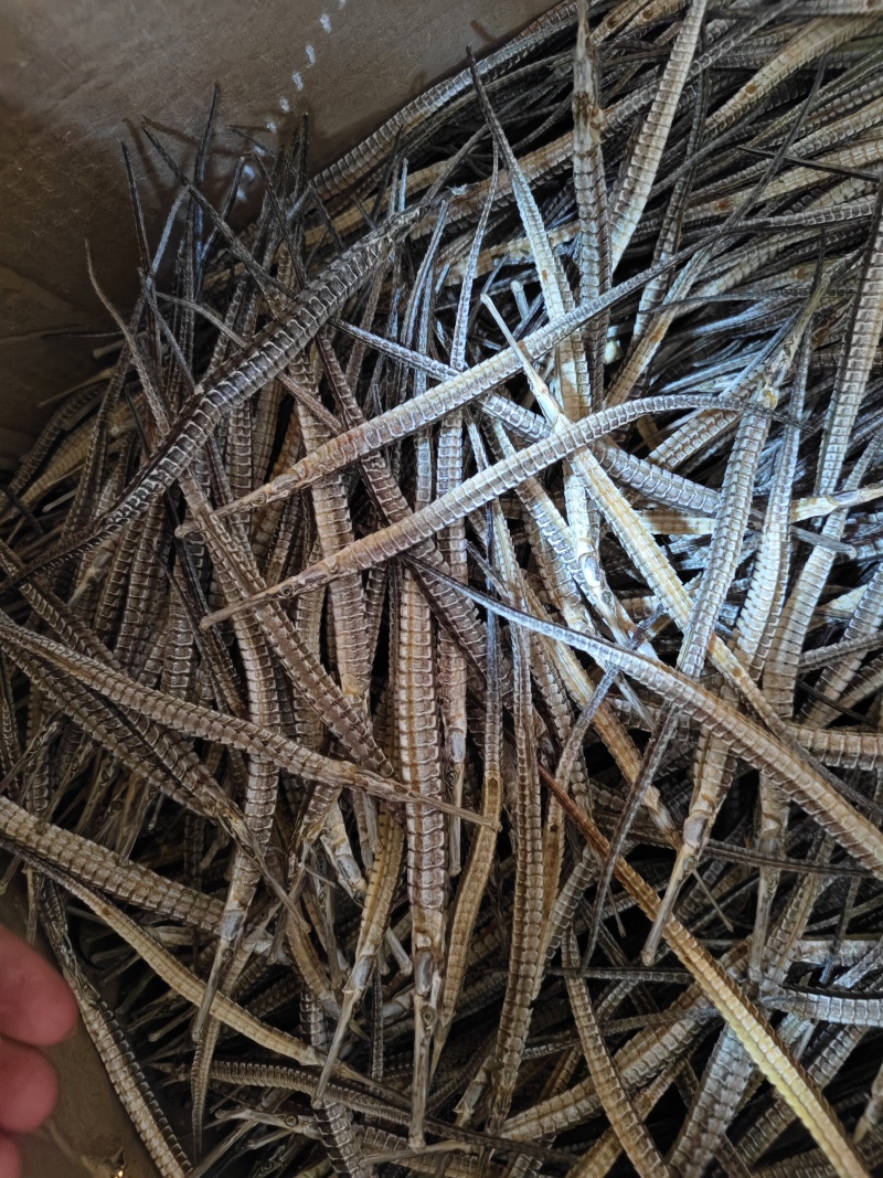 海龙干中药材海龙规格齐全批发零售