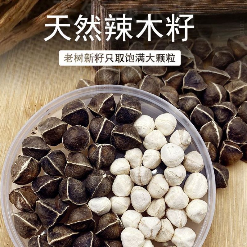 辣木籽各种规格干货2斤包邮量大优惠