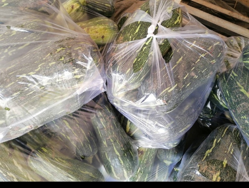 南瓜，蜜本南瓜，养殖青南瓜，保质保量，产地一手货源量大从