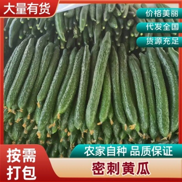 精品黄瓜,产地直发,全国无死角代办,对接批发平台,