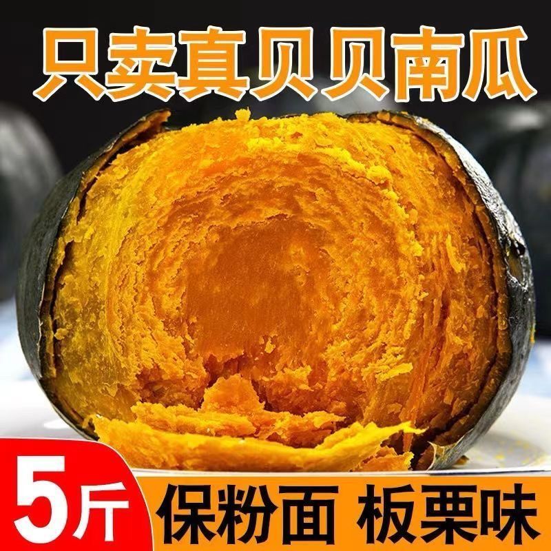 电商专业一件代发，贝贝南瓜