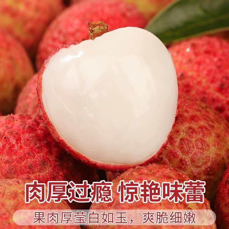 【当季荔枝】新鲜桂花香荔枝当季香甜多汁水果老果树冷链发货