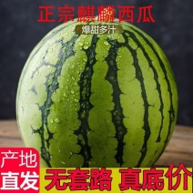 美都头茬露天西瓜产地批发，山瓜现摘现发品质保证