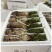 香格里拉洛吉鲜松茸