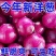 新紫皮洋葱货量充足规格全产地直发诚信经营量大价优
