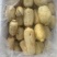 四川宜宾A级新莲藕，四川宜宾一级精品莲藕，四川宜宾莲藕