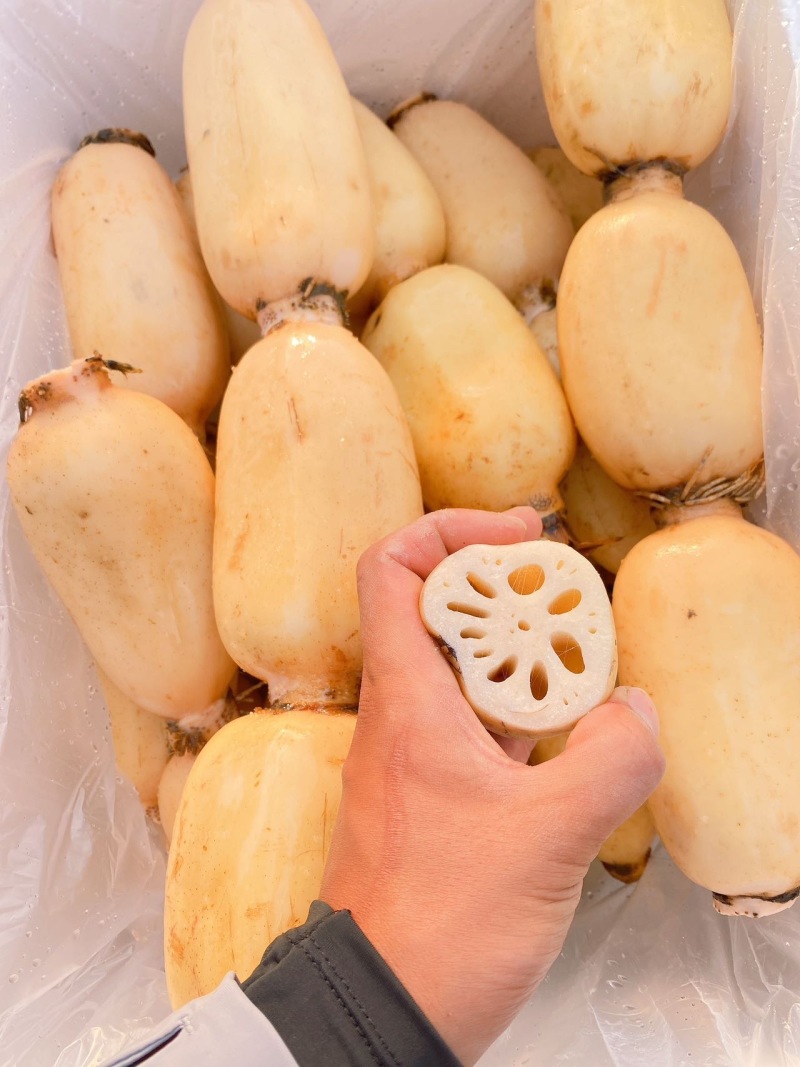 湖北一级珍珠莲藕，湖北A级精品莲藕，湖北精品珍珠莲藕