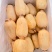 湖北一级珍珠莲藕，湖北A级精品莲藕，湖北精品珍珠莲藕