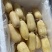 湖北一级珍珠莲藕，湖北A级精品莲藕，湖北精品珍珠莲藕