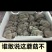 优质平菇