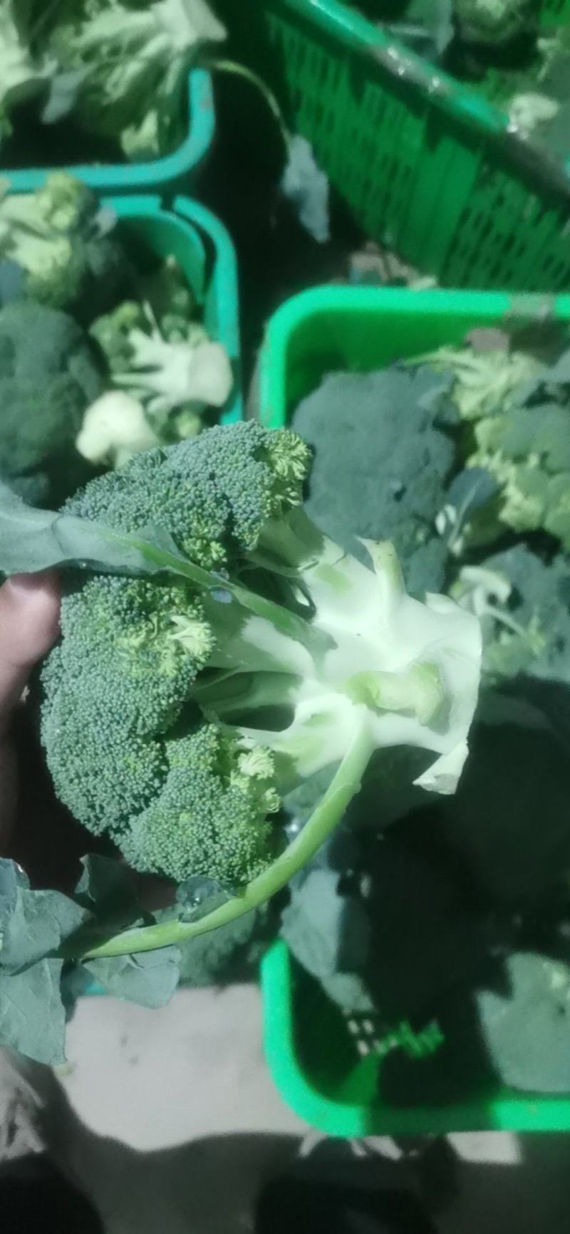 西兰花