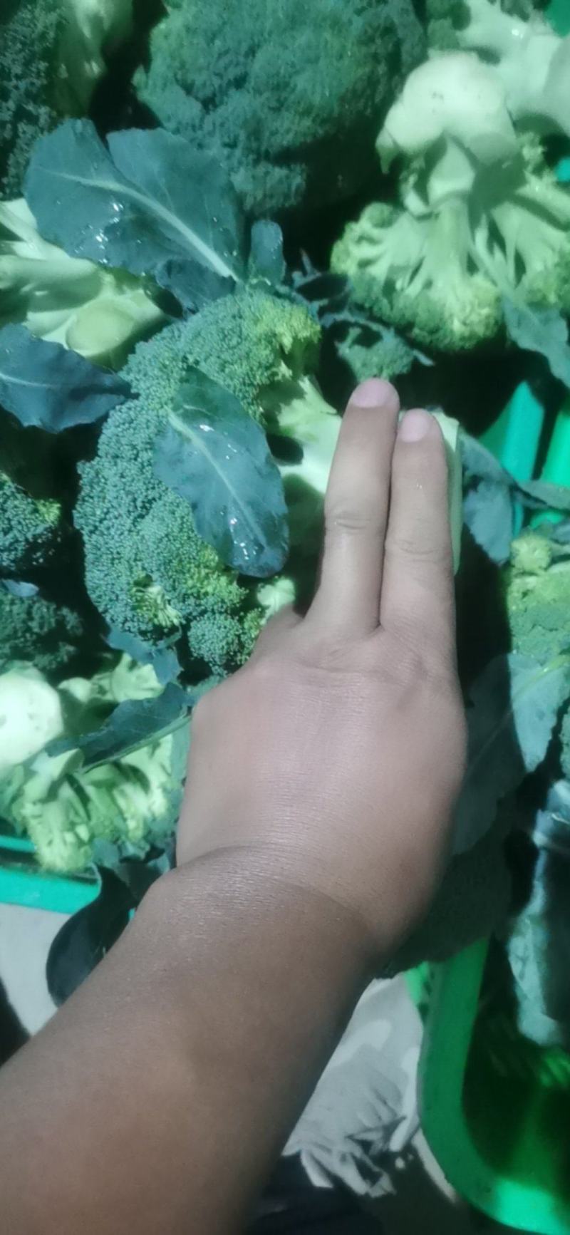 西兰花