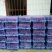 广西荔枝精品鸡嘴荔枝大量上市口感甜一件代发