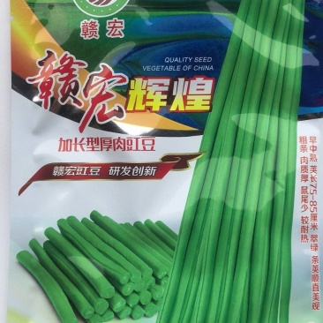 豇豆种子辉煌白籽白花翠绿色抗寒耐热结荚多长条产量高