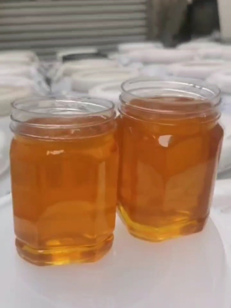荆条蜜纯正天然成熟封盖原酿蜜