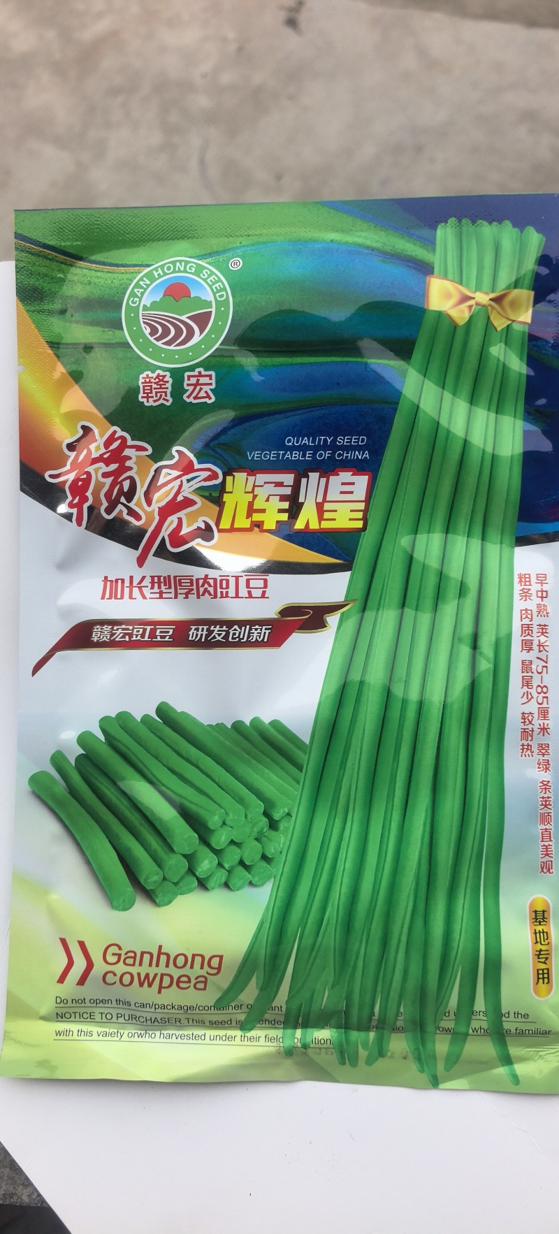 豇豆种子辉煌白籽白花翠绿色抗寒耐热结荚多长条产量高