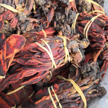 回春草泡水泡酒干货2斤起包邮量大优惠