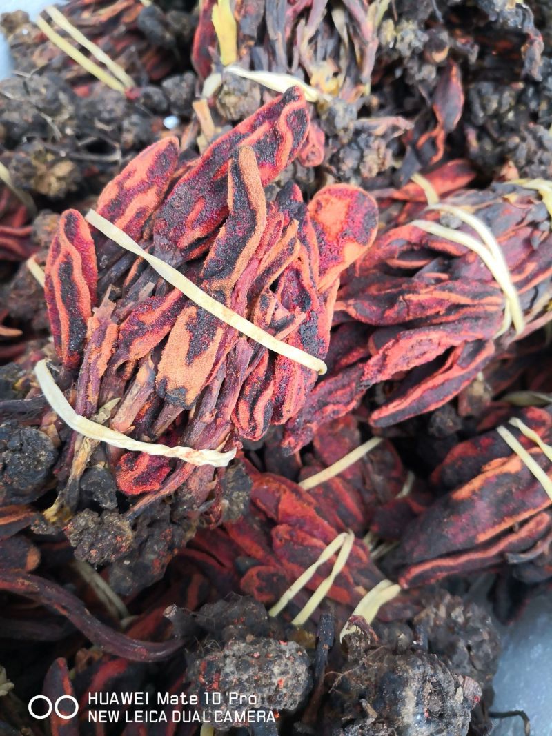 回春草泡水泡酒干货2斤起包邮量大优惠