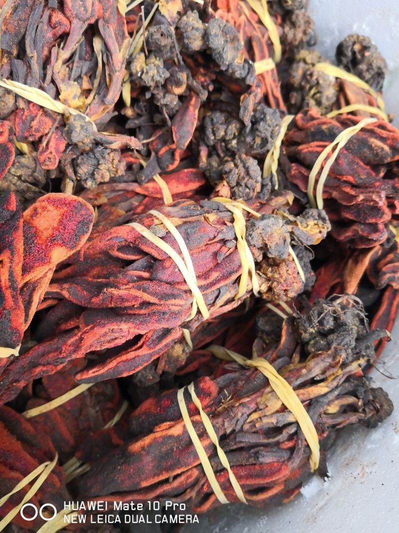回春草泡水泡酒干货2斤起包邮量大优惠