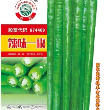 线椒种子辣味一椒长条顺直品质好有辣味薄皮长40厘米