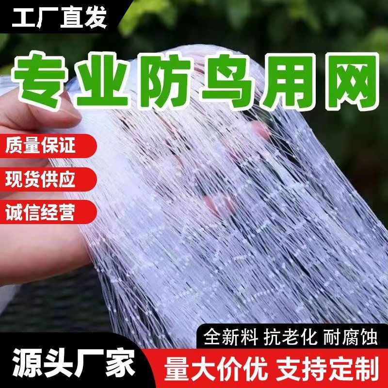 【实力推荐】庄稼防护网防鸟网接受定制各种规格厂家直发