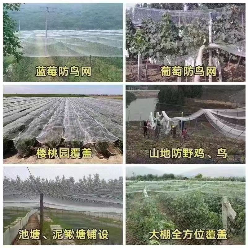 【实力推荐】庄稼防护网防鸟网接受定制各种规格厂家直发