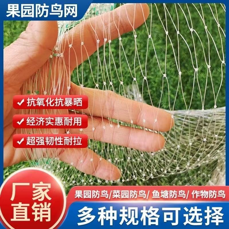 果园大棚加粗尼龙网果树稻谷樱桃葡萄梨树草莓防鸟网鱼塘泥鳅天网